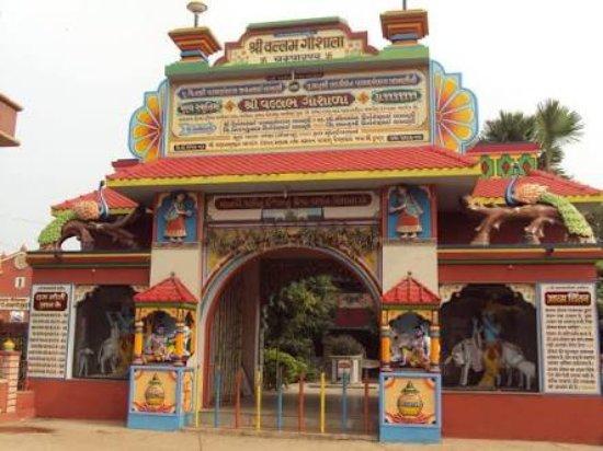 Champaran Meat House
